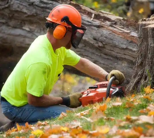 tree services Eaton Rapids